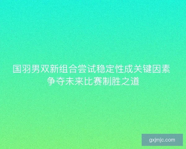 国羽男双新组合尝试稳定性成关键因素 争夺未来比赛制胜之道