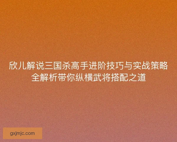 欣儿解说三国杀高手进阶技巧与实战策略全解析带你纵横武将搭配之道